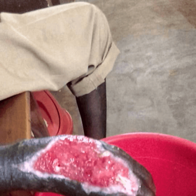 ONG HOP BÉNIN( HUMANITÉ OBLIGE PARTAGE)